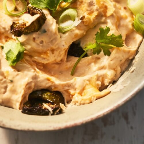 Creamy dip with roasted jalape&ntilde;os, cheddar cheese, and green onions in a bowl.